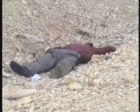 Önce Öldürdü Sonra Başsağlığı Diledi