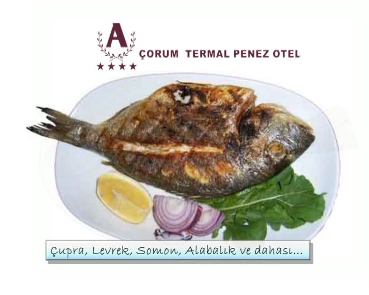 Ocakbaşı Restaurant’ta Balık Mevsimi Açıldı Ocakbaşı Restaurant’ta Balık Mevsimi Açıldı