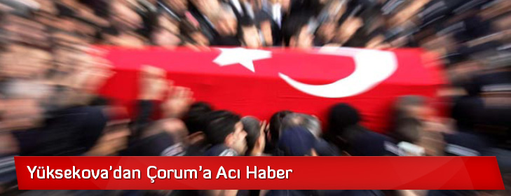 yuksekovadan-coruma-aci-haber