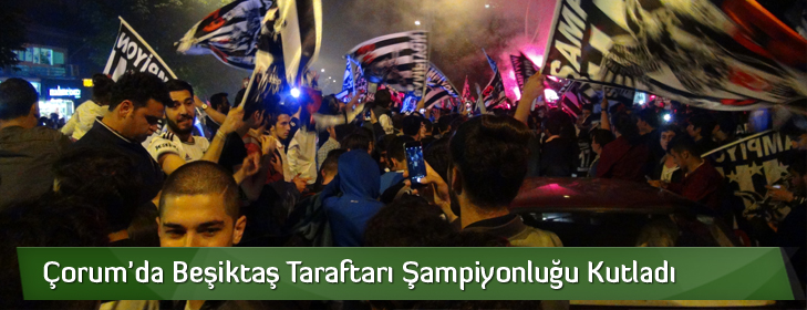 besiktastaraftarisampiyonlukkutlamasi
