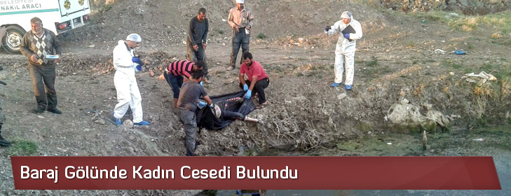 obrukkadincesedi