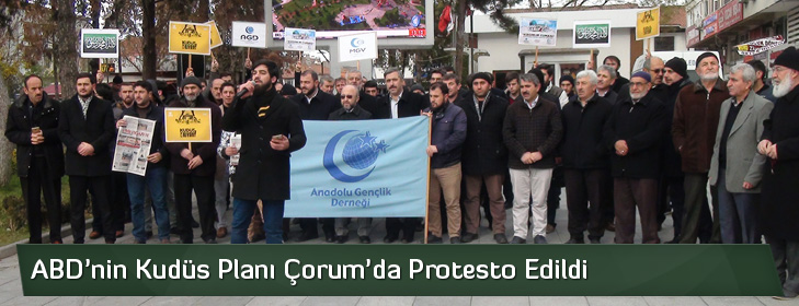 abdninkudusplanicorumdatepki