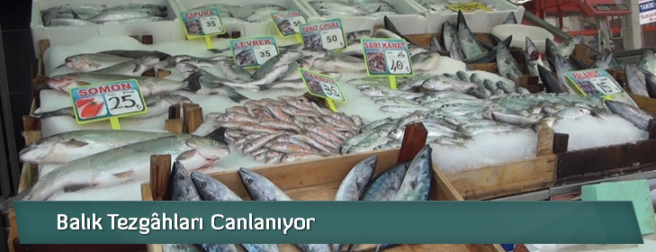 baliktezgahlaricanlaniyor