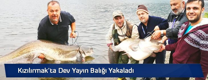 kizilirmaktadevyayinbaligi