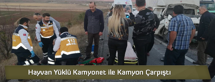hayvanyuklukamyonkaza