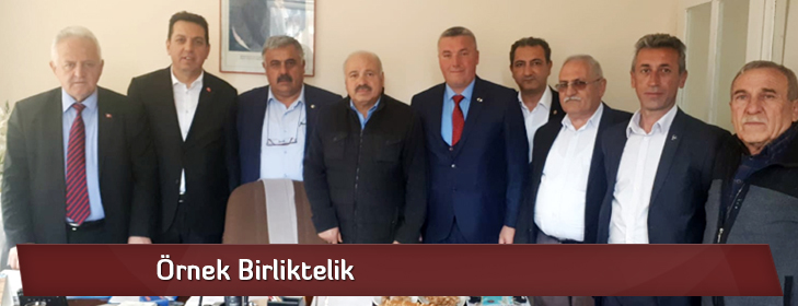 ornekbirliktelik