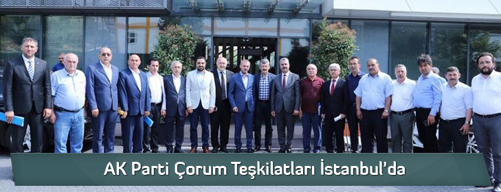akpartiistanbulda
