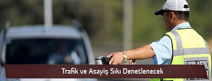 trafikveasayisdenetim