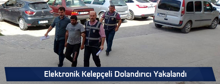 elektronikkelepcelidolandirici