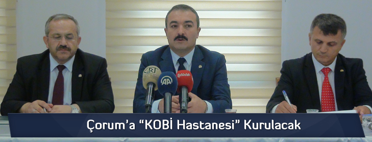 kobihastanesikurulacak