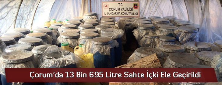 corumda13binlitreicki