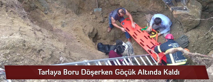 tarlayaborudoserkengoctu