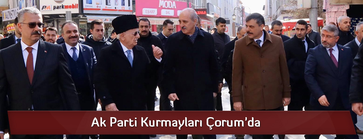 akkurmaylar