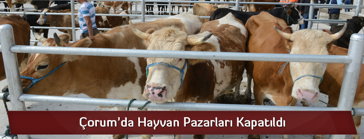 hayvanpazarlarikapatildi