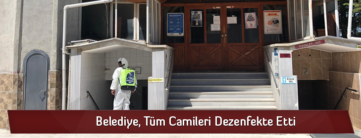 camilerdezenfekte
