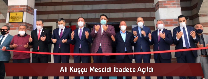 alikuscumescidi
