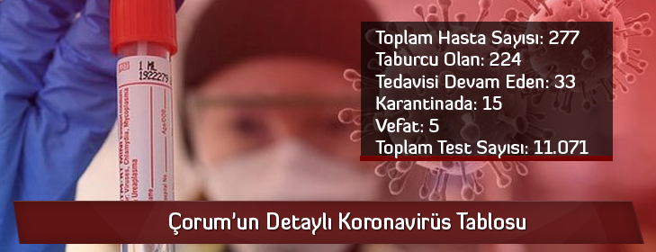 koronadetay