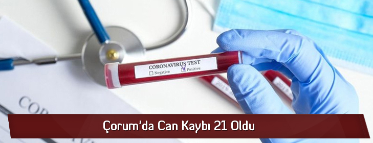 cankaybi21