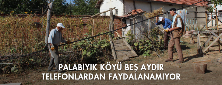 palabiyik-koyu-bes-aydir-telefonlardan-faydalanamiyor
