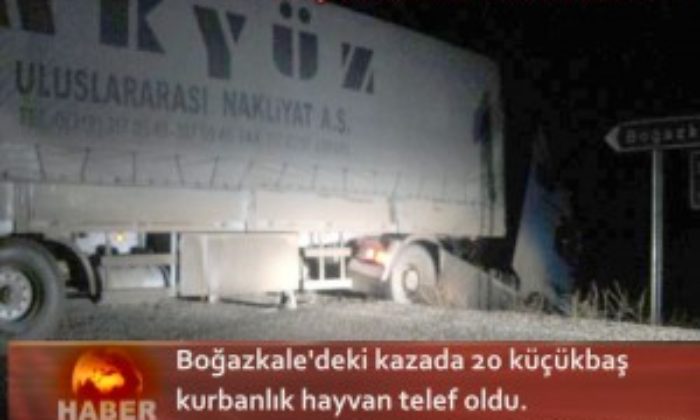 TIR KAZASINDA 20 HAYVAN TELEF OLDU