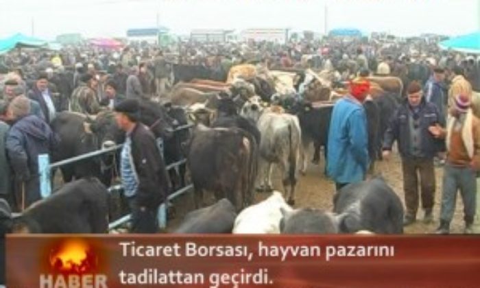 KURBAN HAZIRLIKLARI