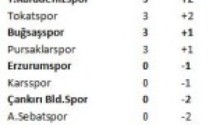 TFF 2.LİG 3.GRUPTAN YÜKSELME GRUBUNA GİDEN YOL