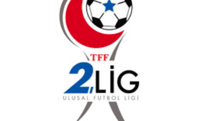 2. LİG YÜKSELME GRUBU 8. HAFTA SONUÇLARI