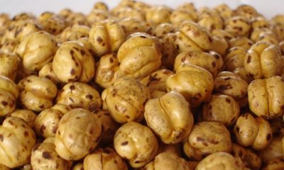 İlginç Rekor Denemesi