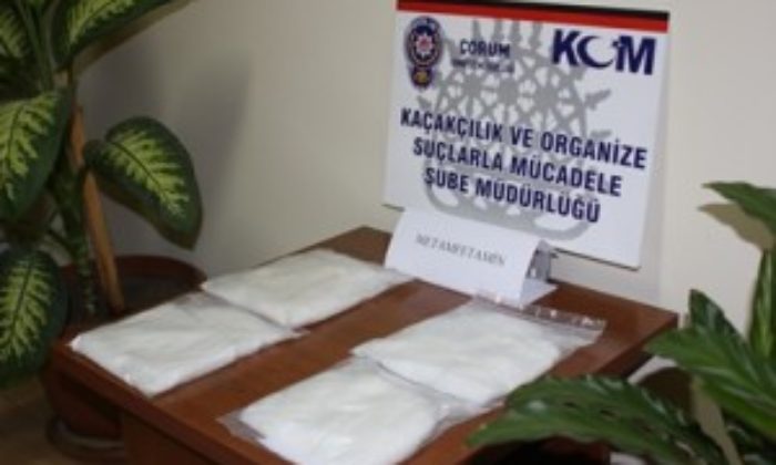 Muhteşem Köpek “Scoli”