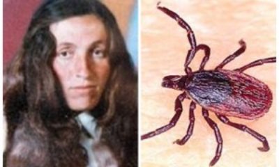 Kene Kabusu Sürüyor