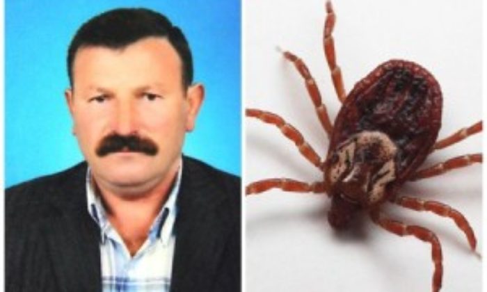 Çorum’da Keneden İkinci Ölüm