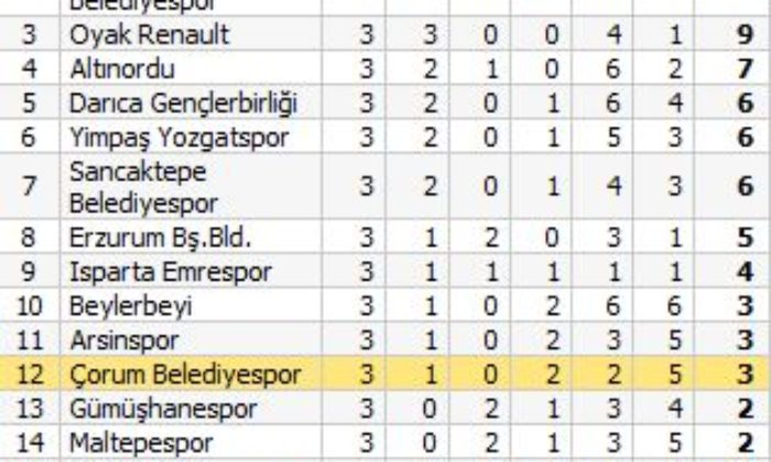 Erzurum BYŞ: 2 – Ç.Belediyespor: 0