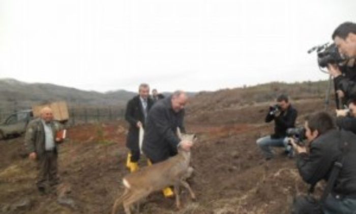 Çorum Tabiat Parkının İlk Misafirleri