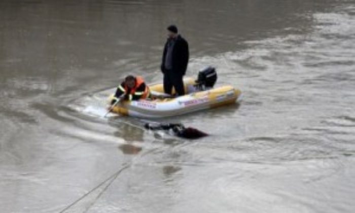 Kayıp Kadının Cesedi Bulundu