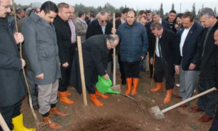 Ceviz Eylem Planına Destek