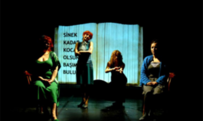 12 Ayrı Kadın Tipinin Düşündürücü ve Eğlenceli Öyküsü