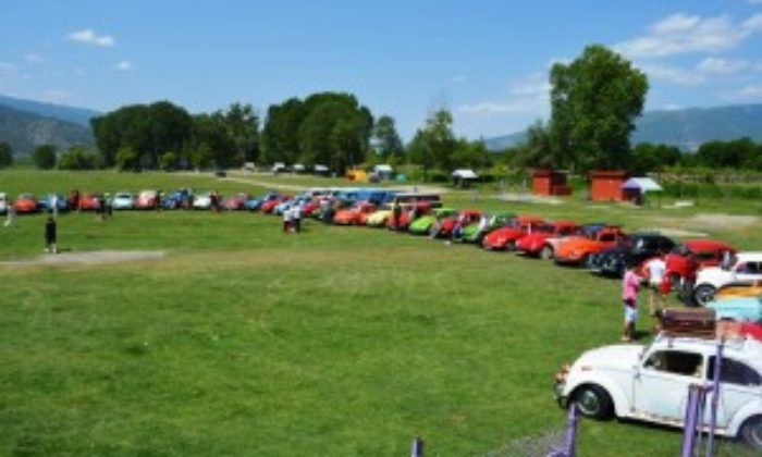 Vosvosçular Kontak Çevirdi