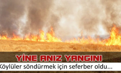 Yine Anız Yangını