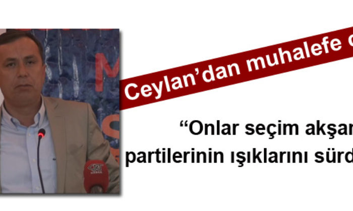 Ceylan’dan Ayçiçeği Cevabı