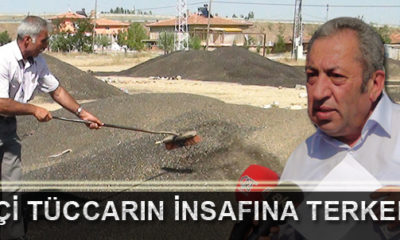 Ayçiçeği Üreticileri Mağdur