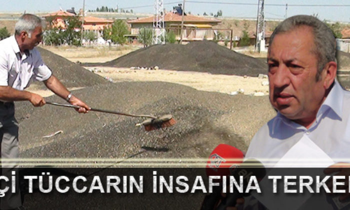 Ayçiçeği Üreticileri Mağdur