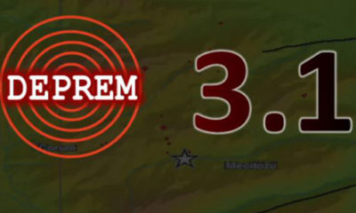Hafif Şiddetli Deprem