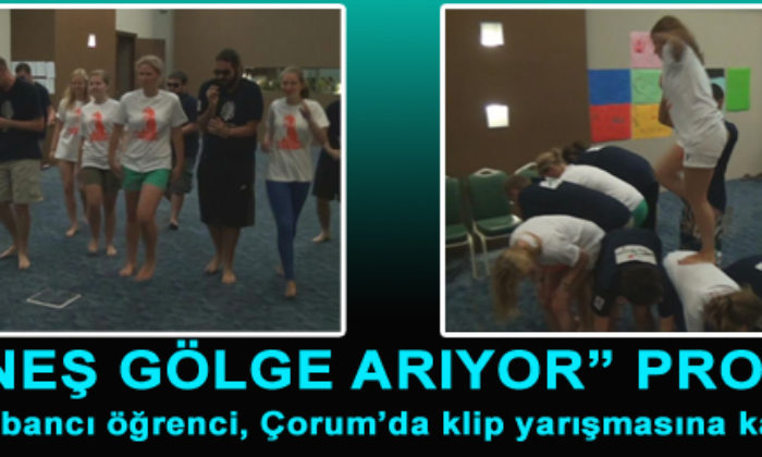 “Güneş Gölge Arıyor” Projesi