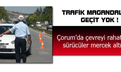 Trafik Magandalarına Geçit Yok