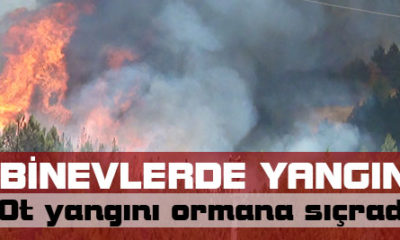 Binevler’de Orman Yangını