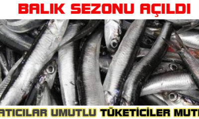 Sezonun İlk Balıkları Tezgahlarda
