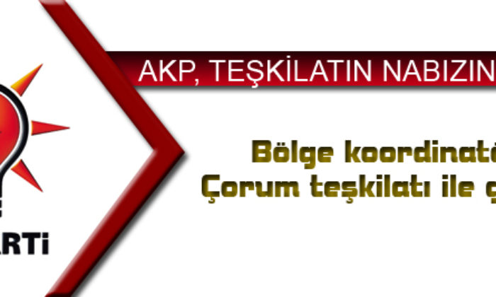 AKP, Teşkilatın Nabızını Yokladı