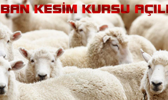 Kurban Kesim Kursu Açılıyor