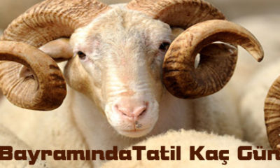 Kurban Bayramı’nda 9 Gün Tatil