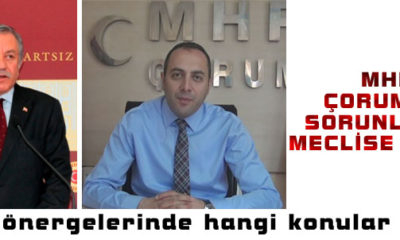 Çorum’un Sorunları MHP Meclise Taşıdı